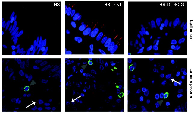 Figure 4.