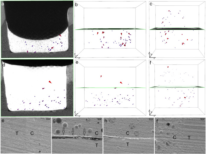 Fig. 8