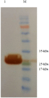 Fig 4