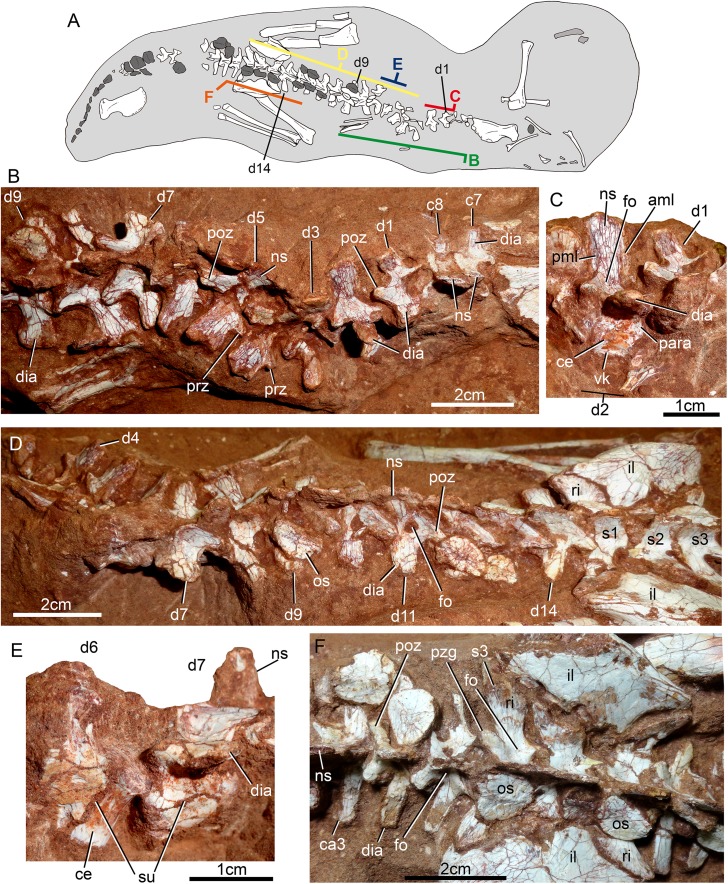 Figure 21