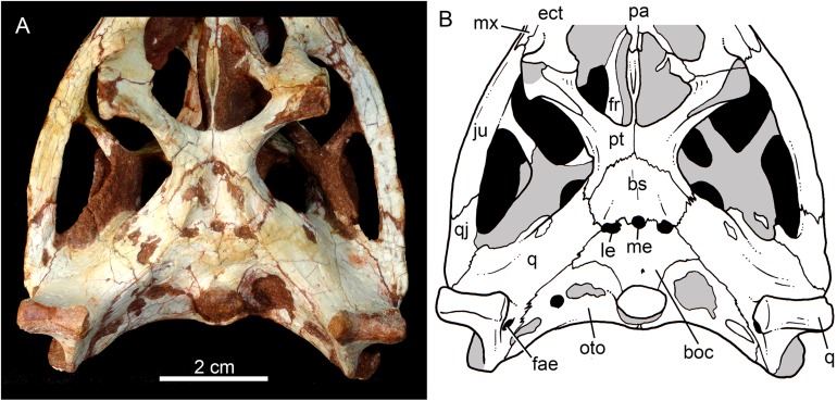 Figure 11