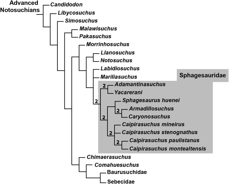 Figure 36