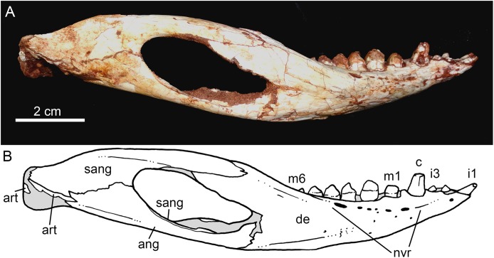 Figure 14