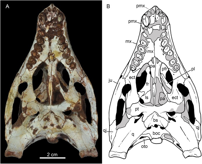 Figure 9