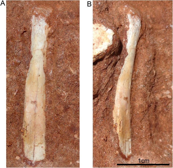 Figure 13