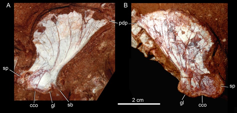 Figure 25