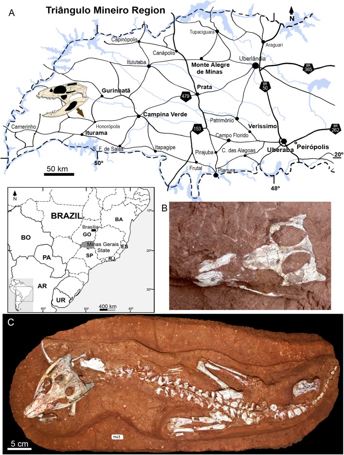 Figure 2