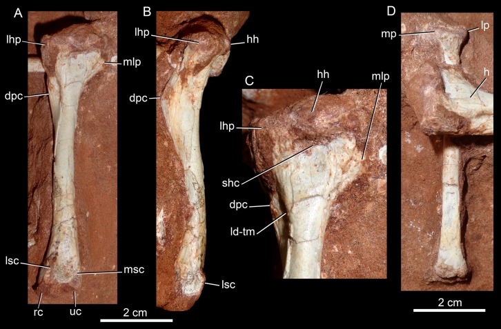 Figure 26