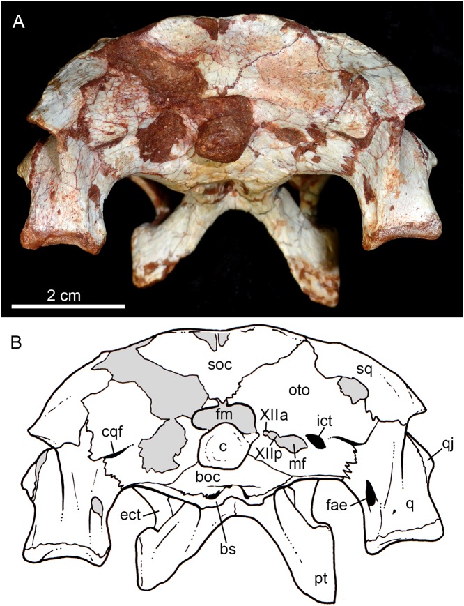 Figure 10