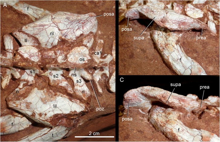 Figure 27