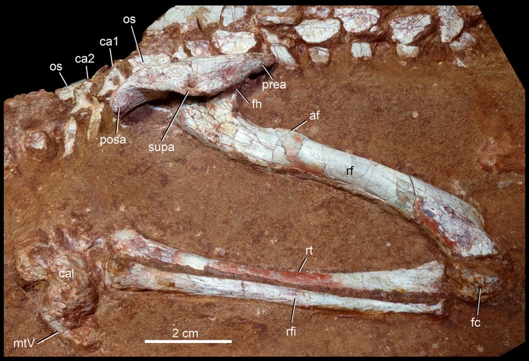 Figure 28