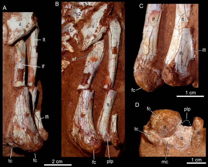 Figure 29