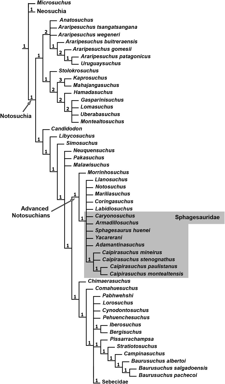 Figure 35