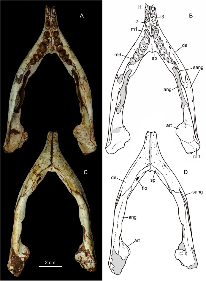 Figure 15