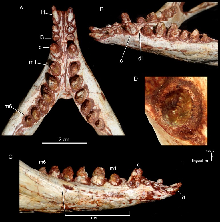 Figure 19