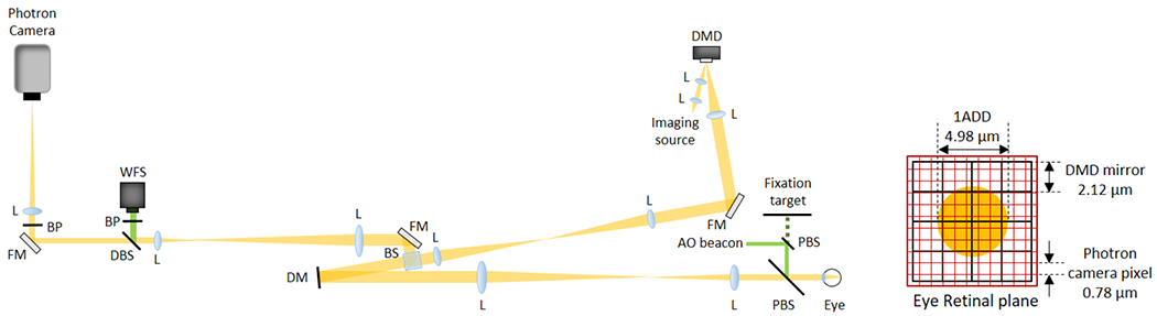 Fig. 1.