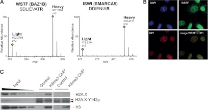 Fig. 8.