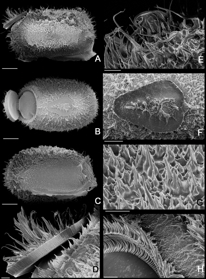 Fig. 26.