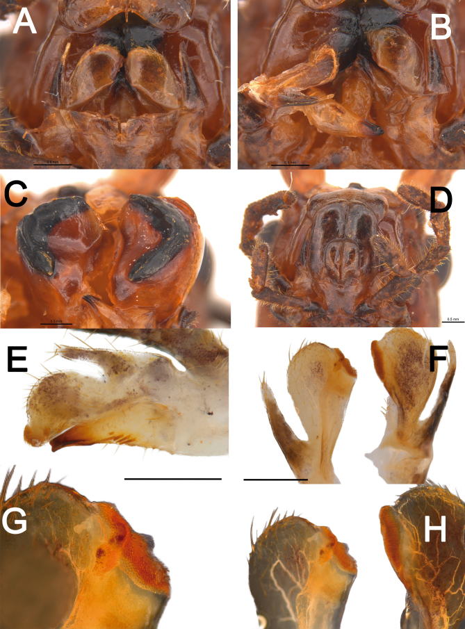 Fig. 28.