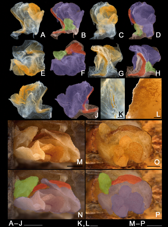 Fig. 32.