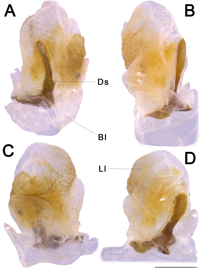 Fig. 33.