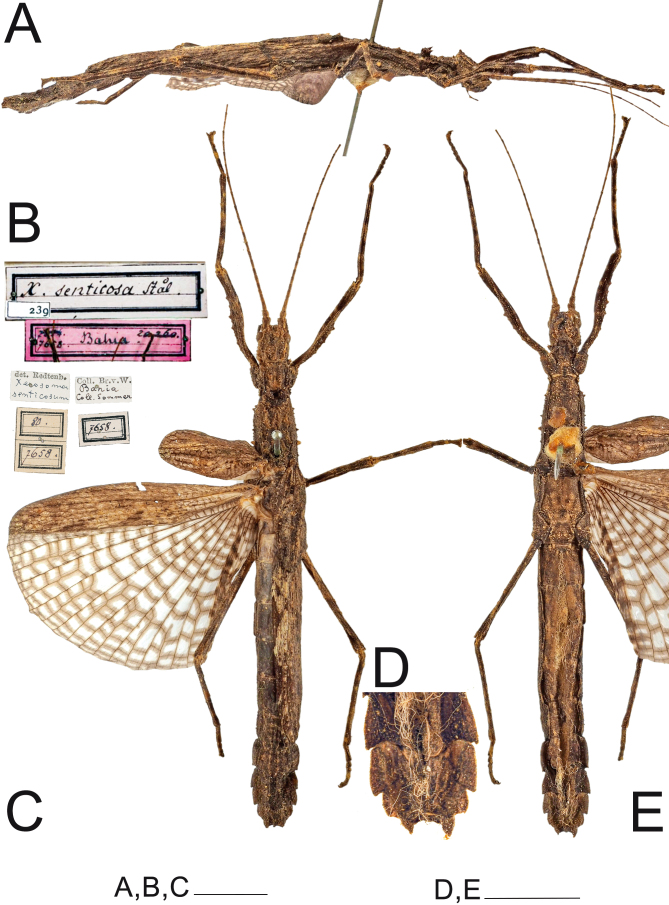 Fig. 18.