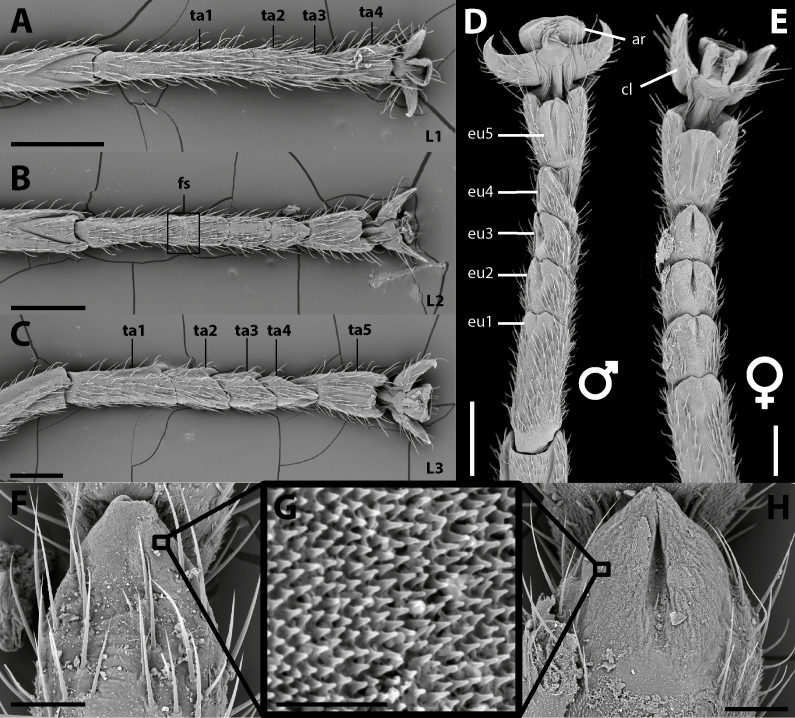 Fig. 36.