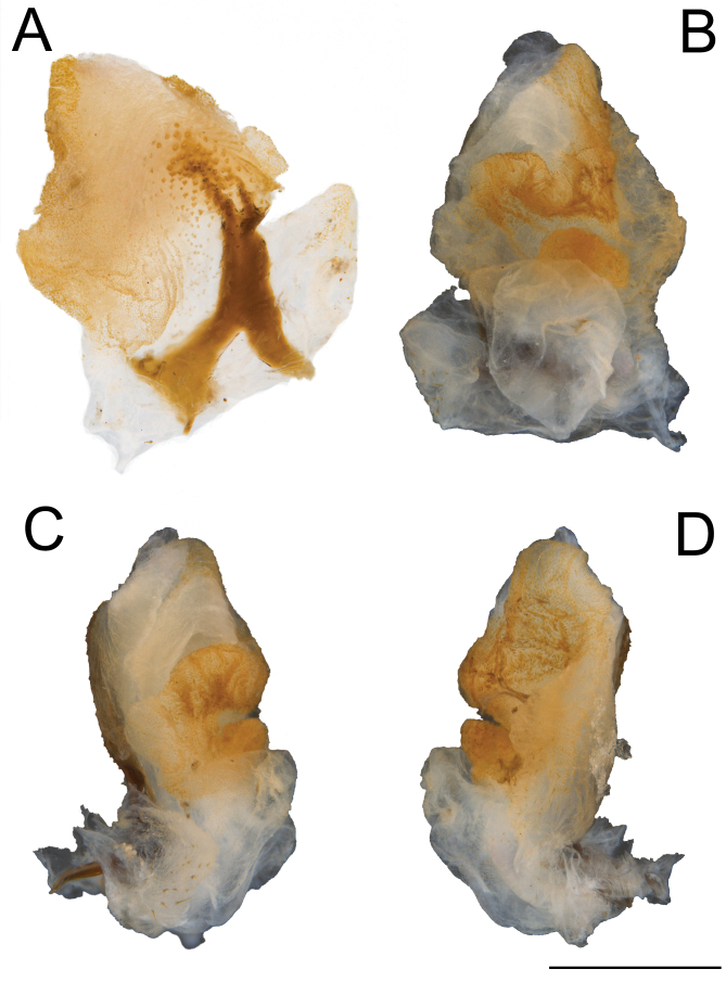 Fig. 15.