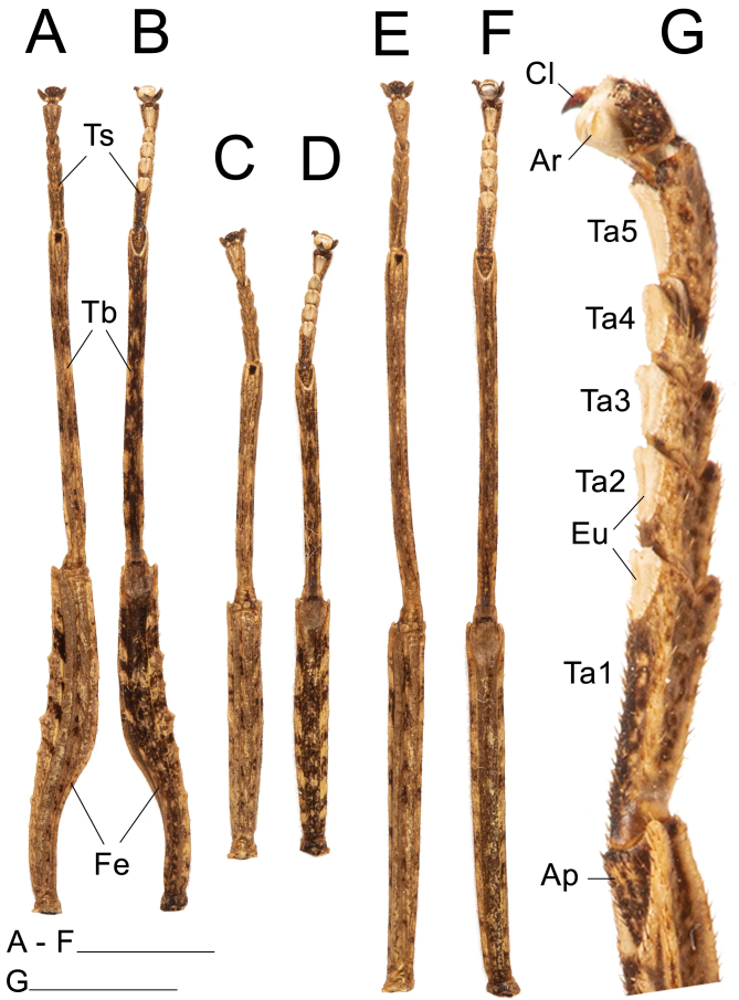 Fig. 22.