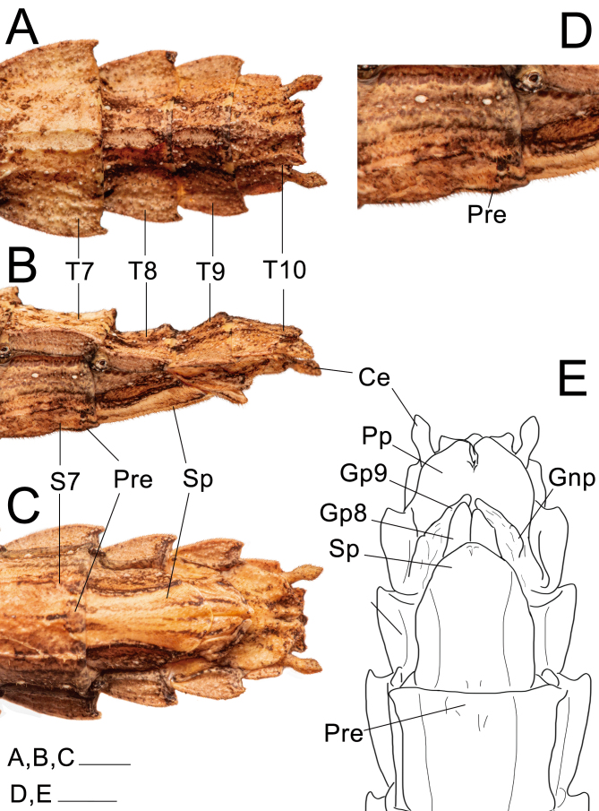 Fig. 23.