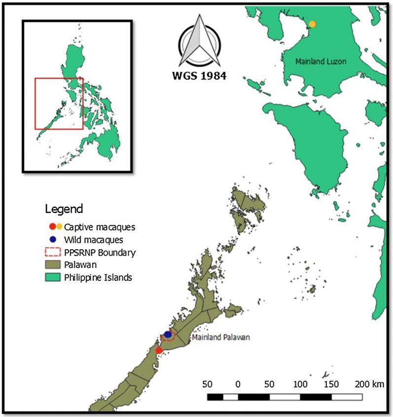 Fig. 1