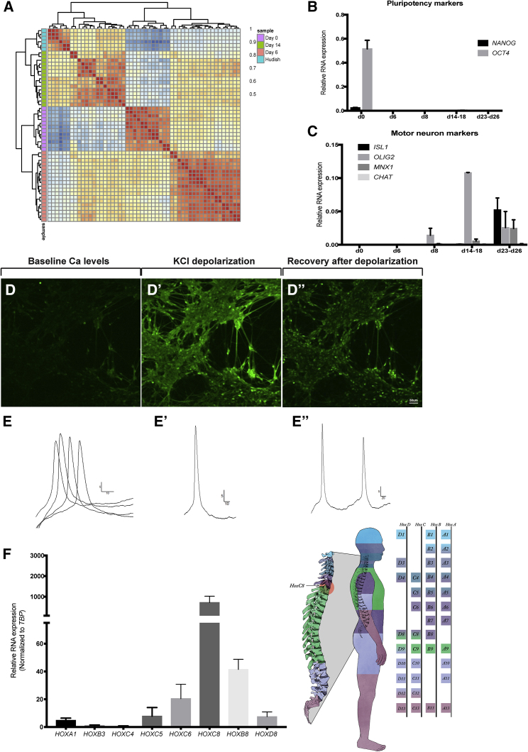 Figure 2