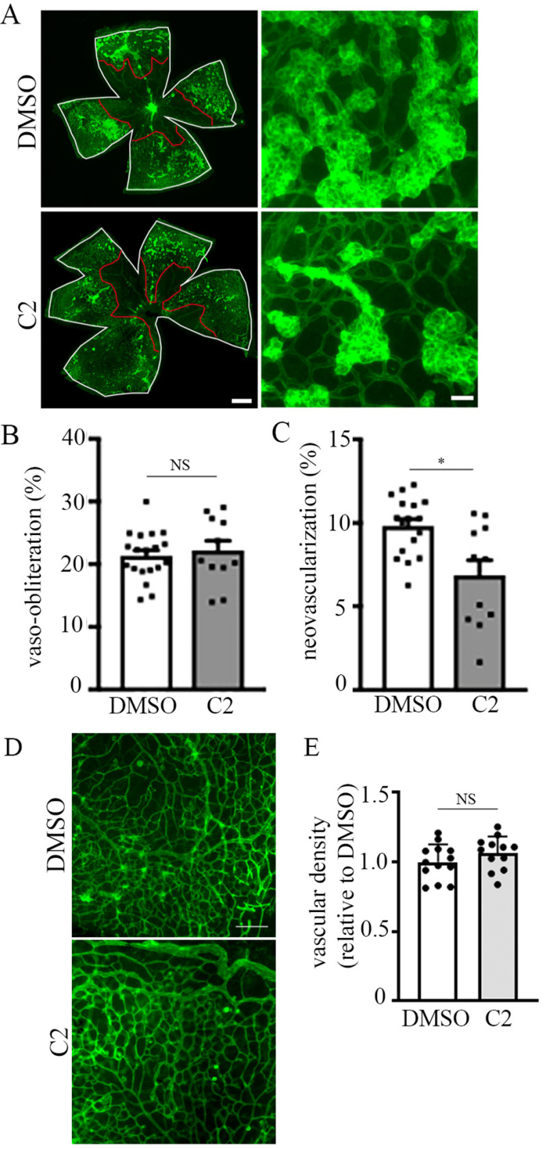 Figure 6.