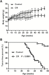 Figure1.