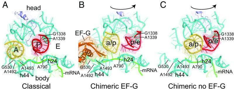 Fig. 2.