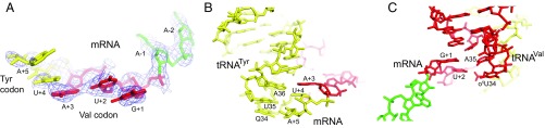 Fig. 6.