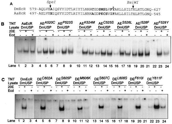 FIG. 6