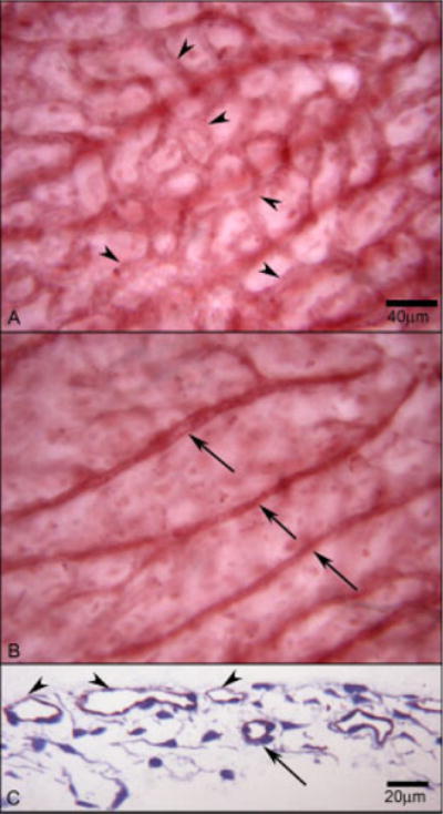 Fig. 10