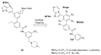 Figure 22