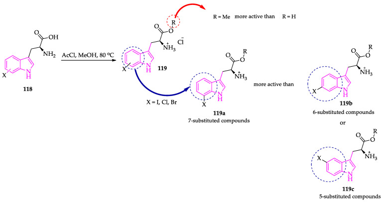 Scheme 8