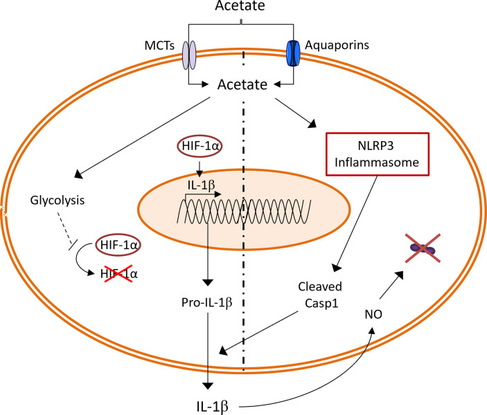 Figure 7