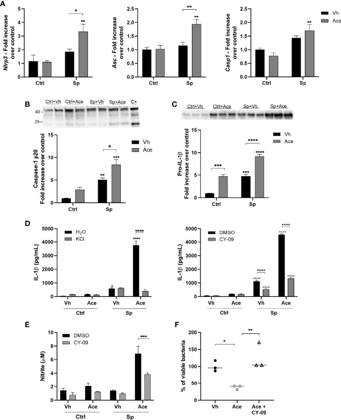 Figure 4