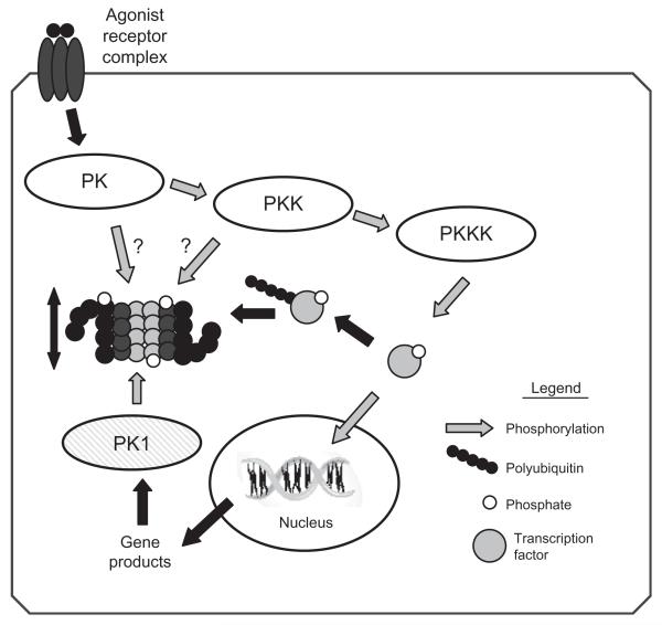 Fig. 2