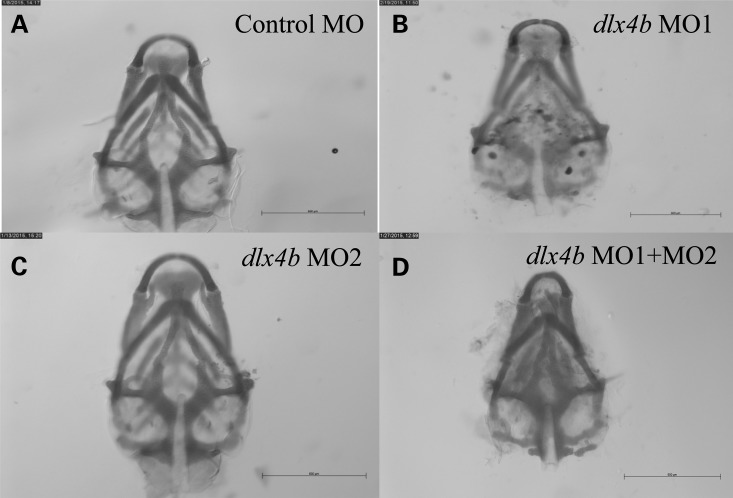 Figure 7.