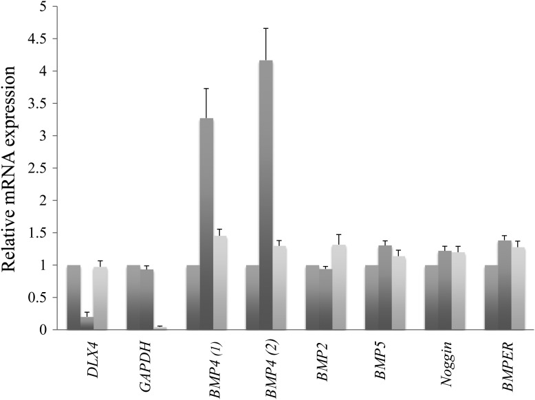 Figure 6.