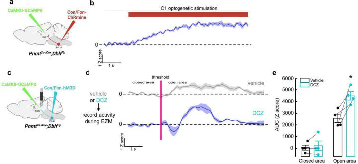 Extended Data Figure 6.