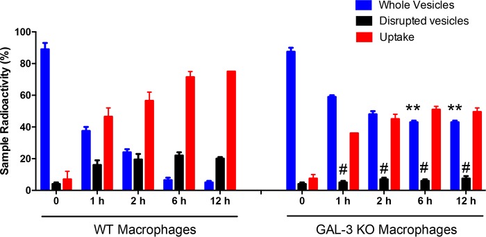 FIG 6