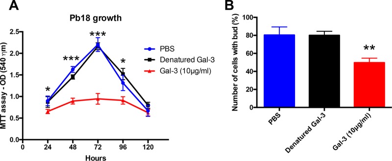 FIG 3