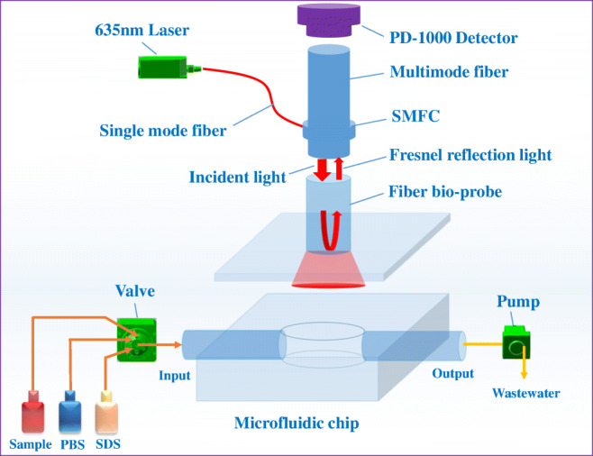 Fig. 1