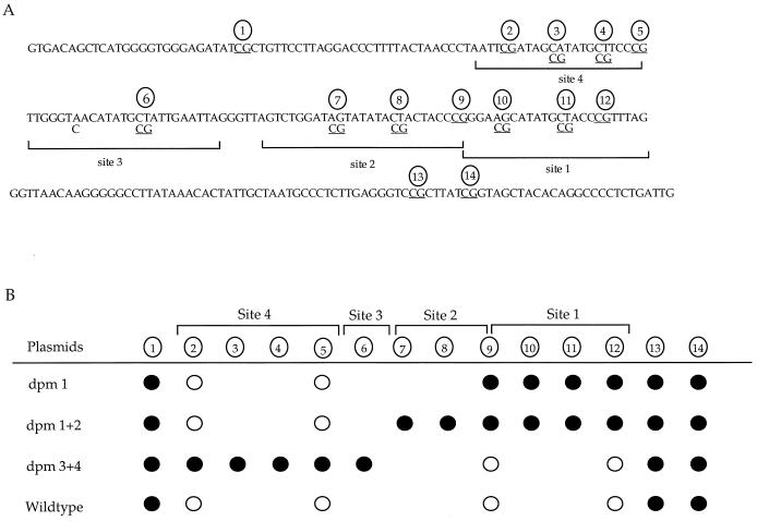 FIG. 6